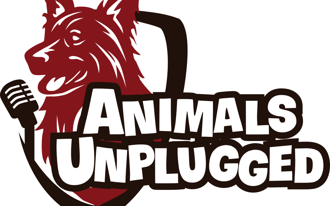 A light shines, a spark of hope for Animals in Episode 4 of Animals Unplugged