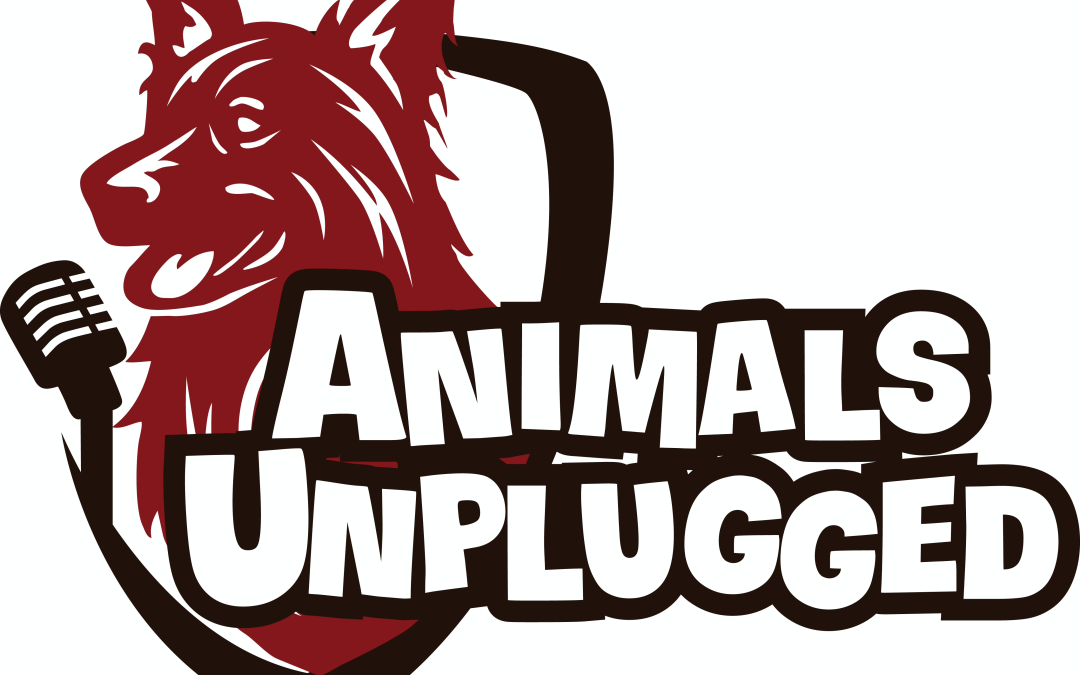 Guest Essay about Episode 3 by CnGee, the Superhero Dog Co-host of Animals Unplugged