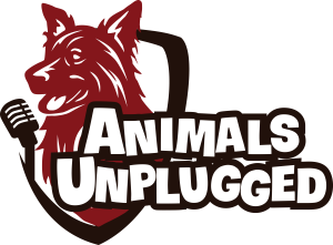 Animals Unplugged Wants You to Go to Veterinarian School